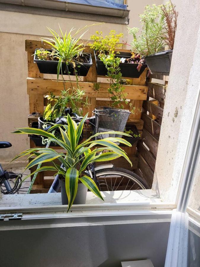 Cosy Appartement Hyper Centre-Ville Quimper Exteriör bild